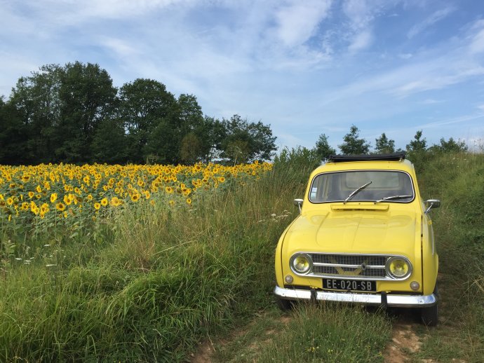 Renault 4L en Jaune Tournesols, été 2017